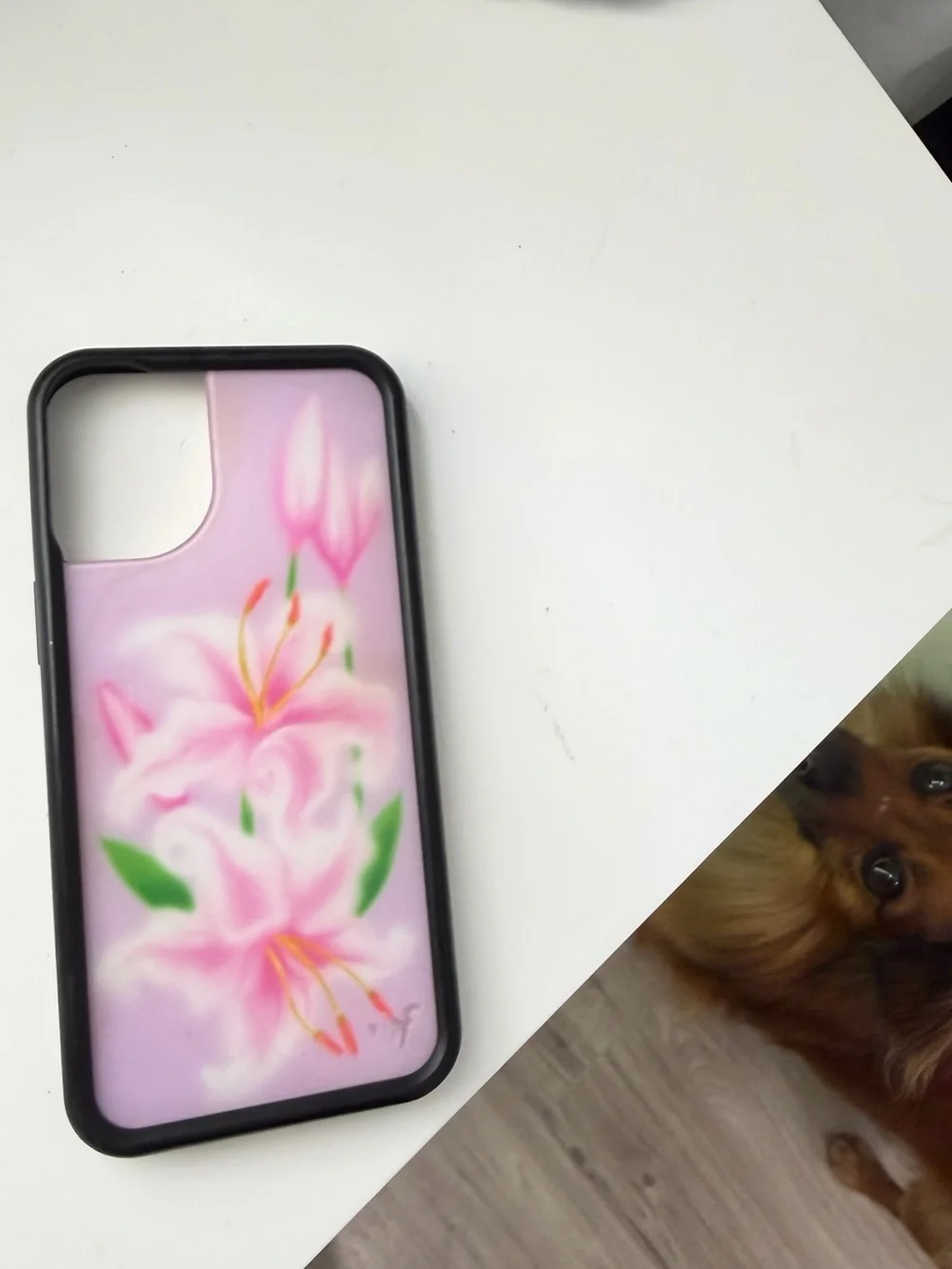 Sweet lily iPhone 16plus Wildflower case